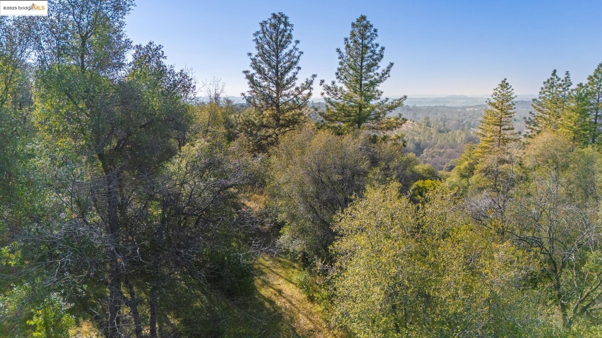 Par A Par A Robin Ridge Sonora, CA 95370 - Photo 11 of 14 a view of a forest with a tree