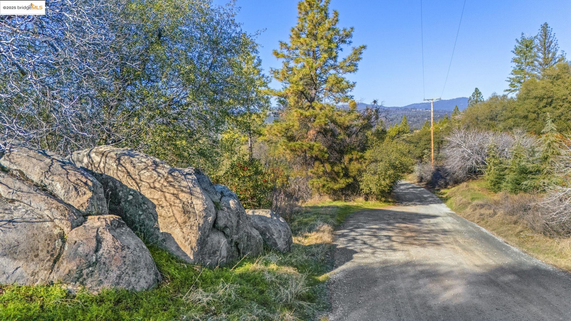 Par A Par A Robin Ridge Sonora, CA 95370 - Photo 14 of 14 a view of a yard with plants and trees