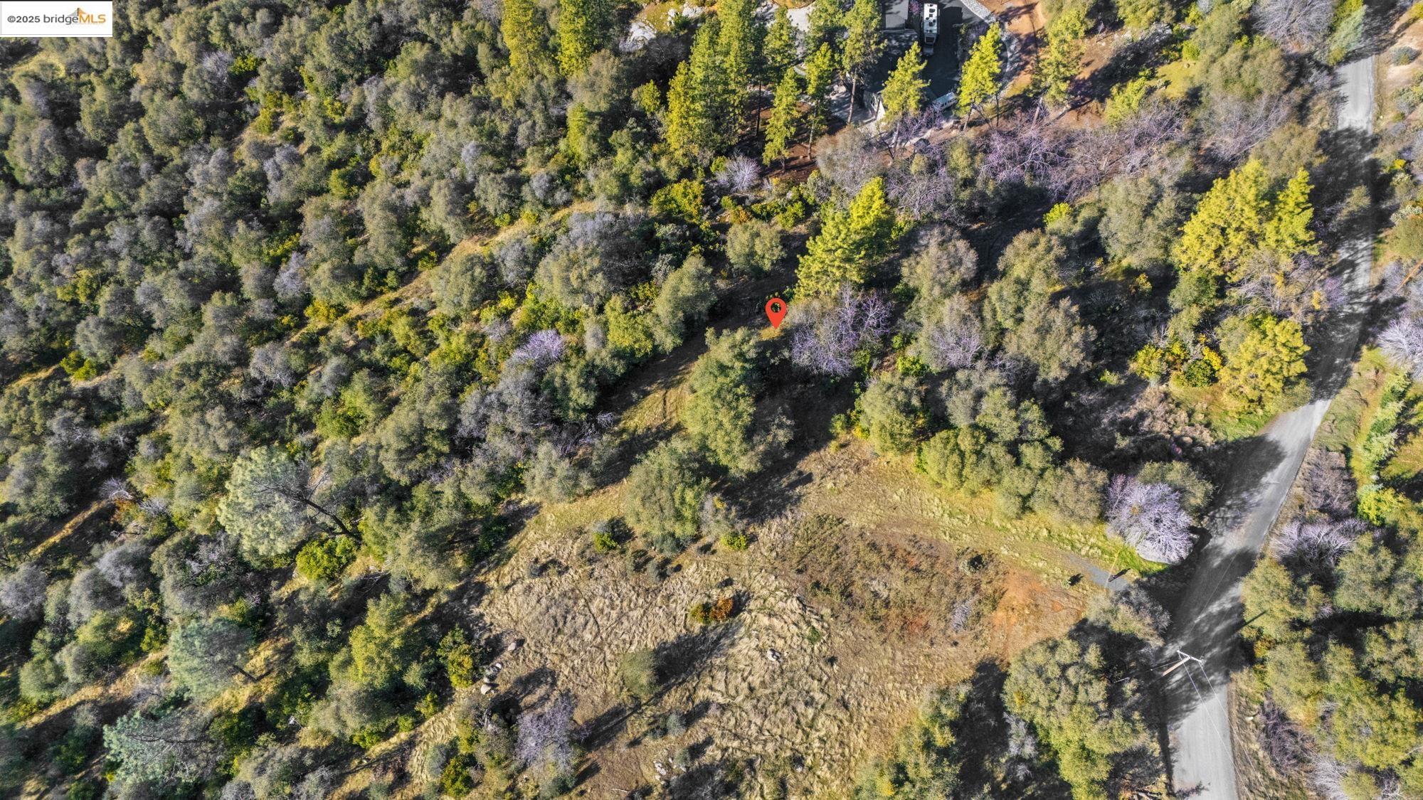 Par A Par A Robin Ridge Sonora, CA 95370 - Photo 2 of 14 a view of a tree