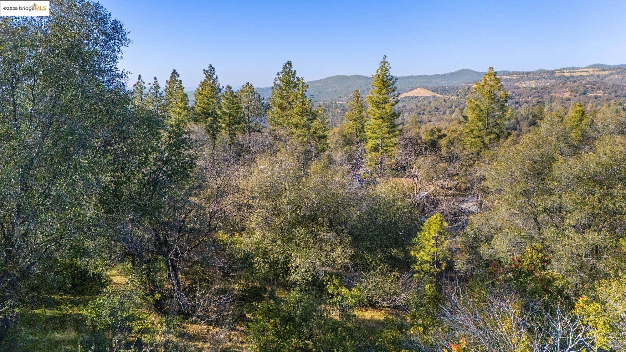 Par A Par A Robin Ridge Sonora, CA 95370 - Photo 10 of 14 a view of a bunch of trees and bushes