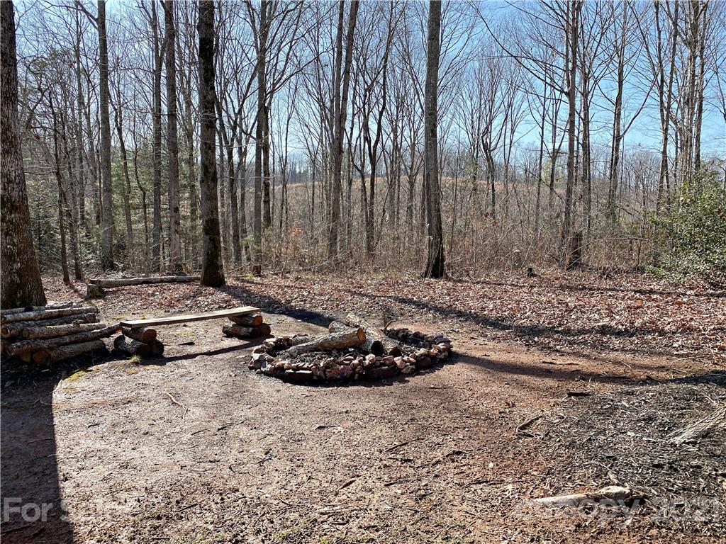 6191 Espa Road Claremont, NC 28610 - Photo 28 of 38 Gallery Image 28