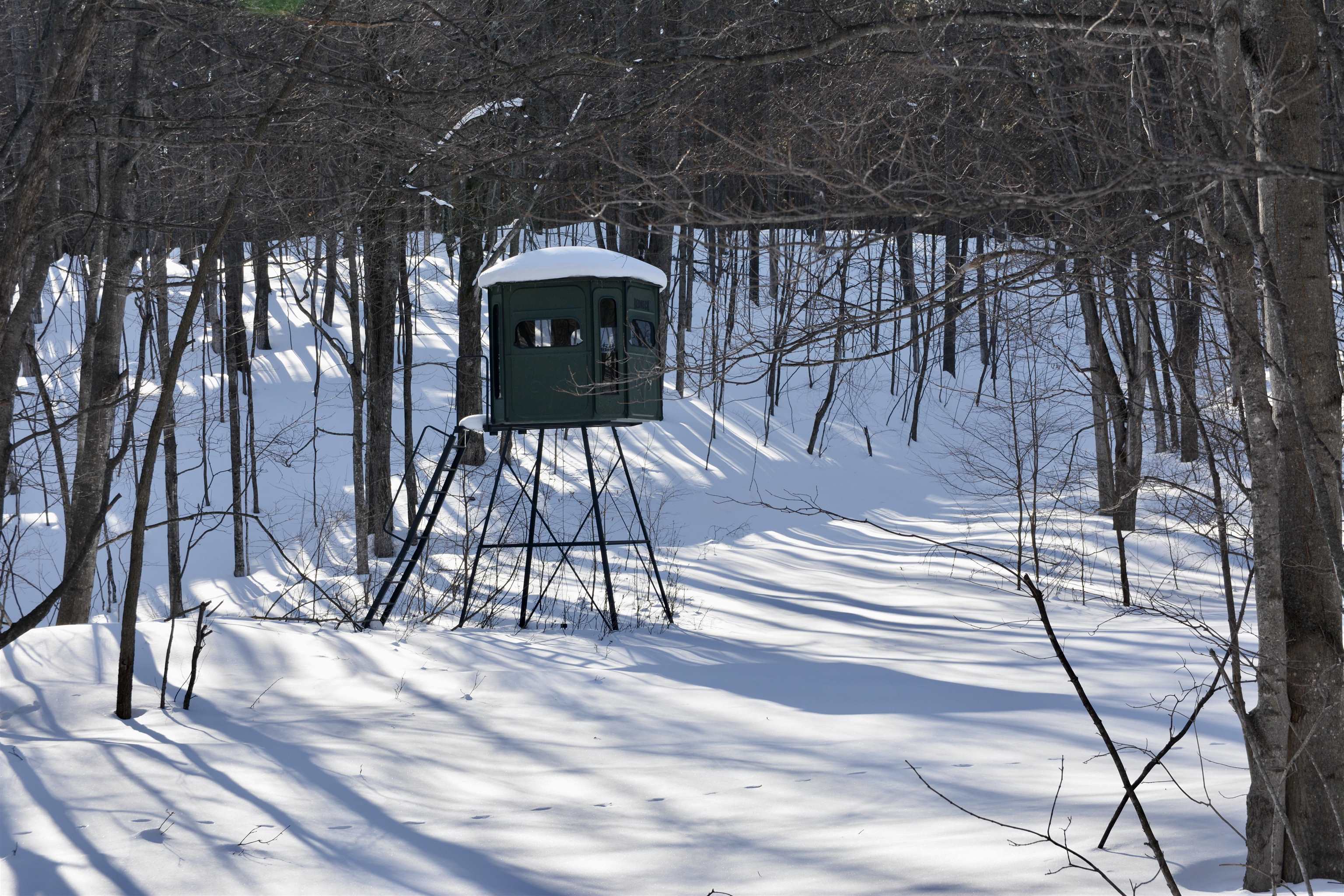 0 South Schomberg Road Cedar, MI 49621 - Photo 20 of 70