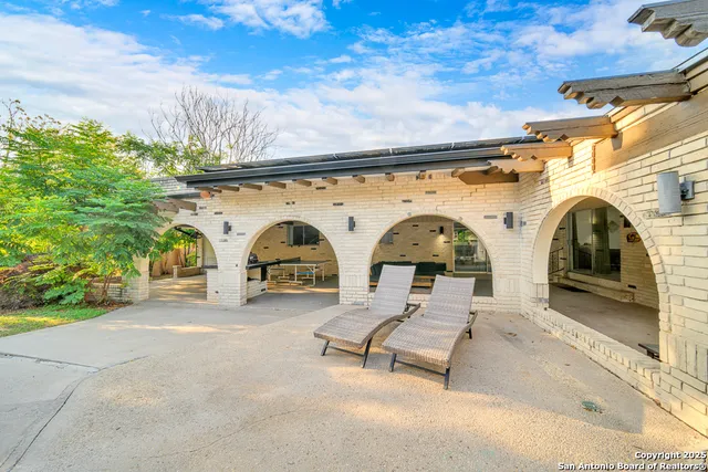 a view of a yard with plants and trees