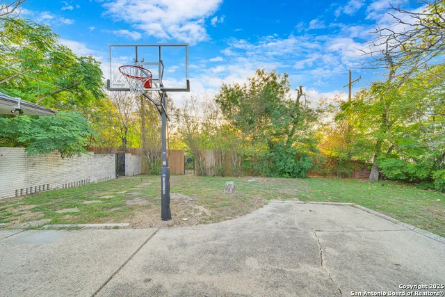a view of a backyard