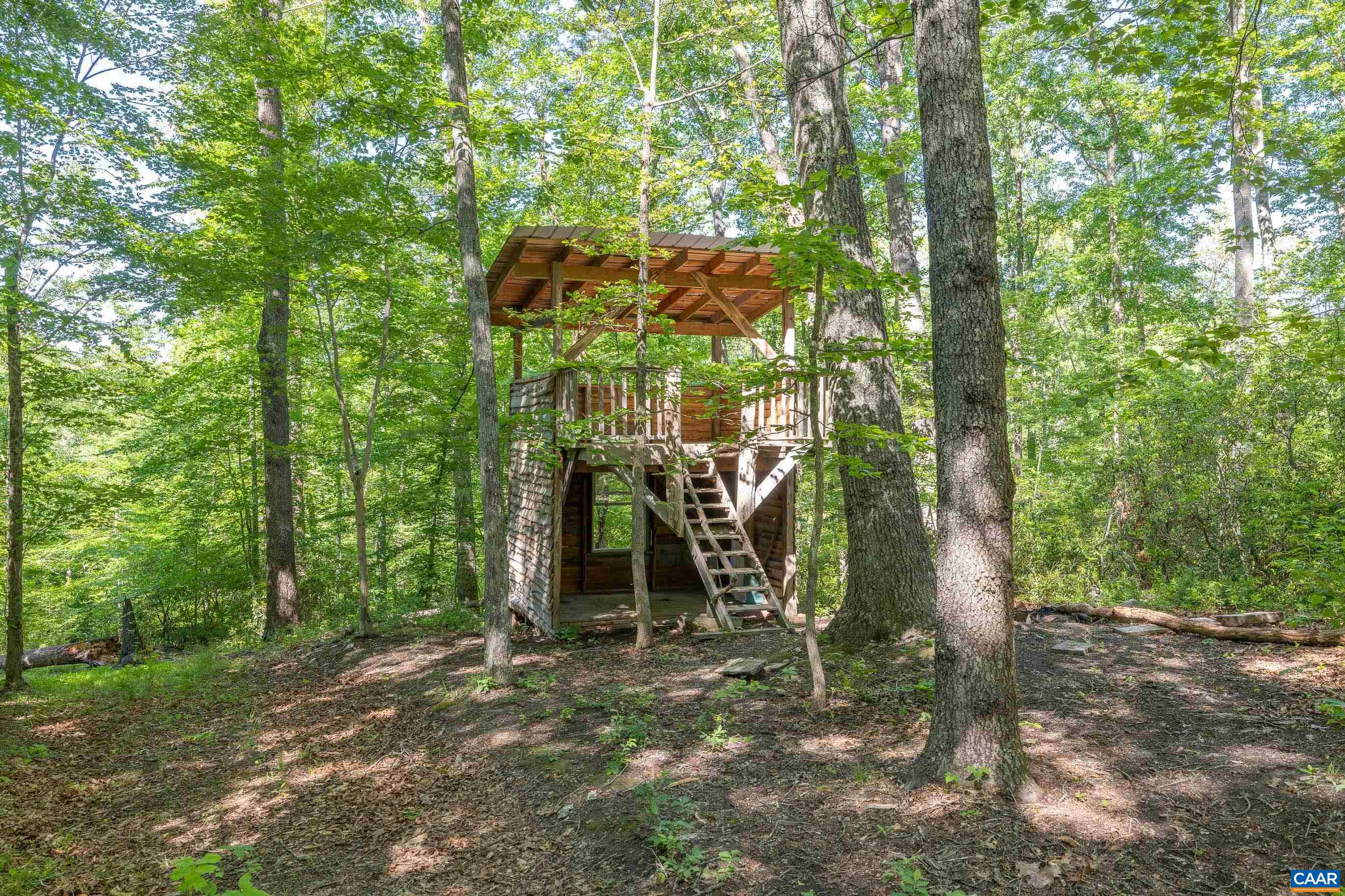 7676 Old Dominion Road Schuyler, VA 22969 - Photo 7 of 29 a backyard of a house with lots of trees