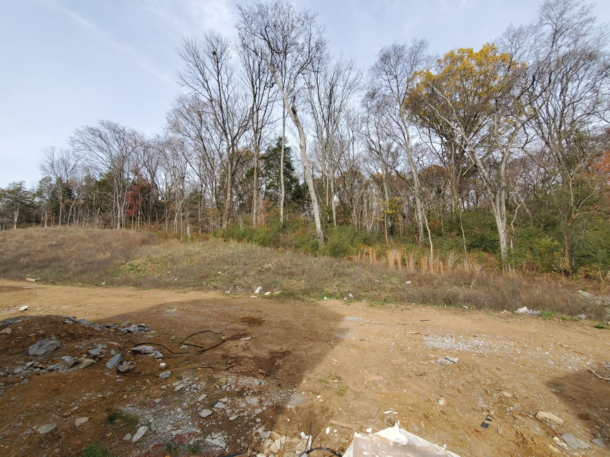 1133 Pebble Run Road Hendersonville, TN 37075 - Photo 29 of 43 a view of dirt yard with a trees