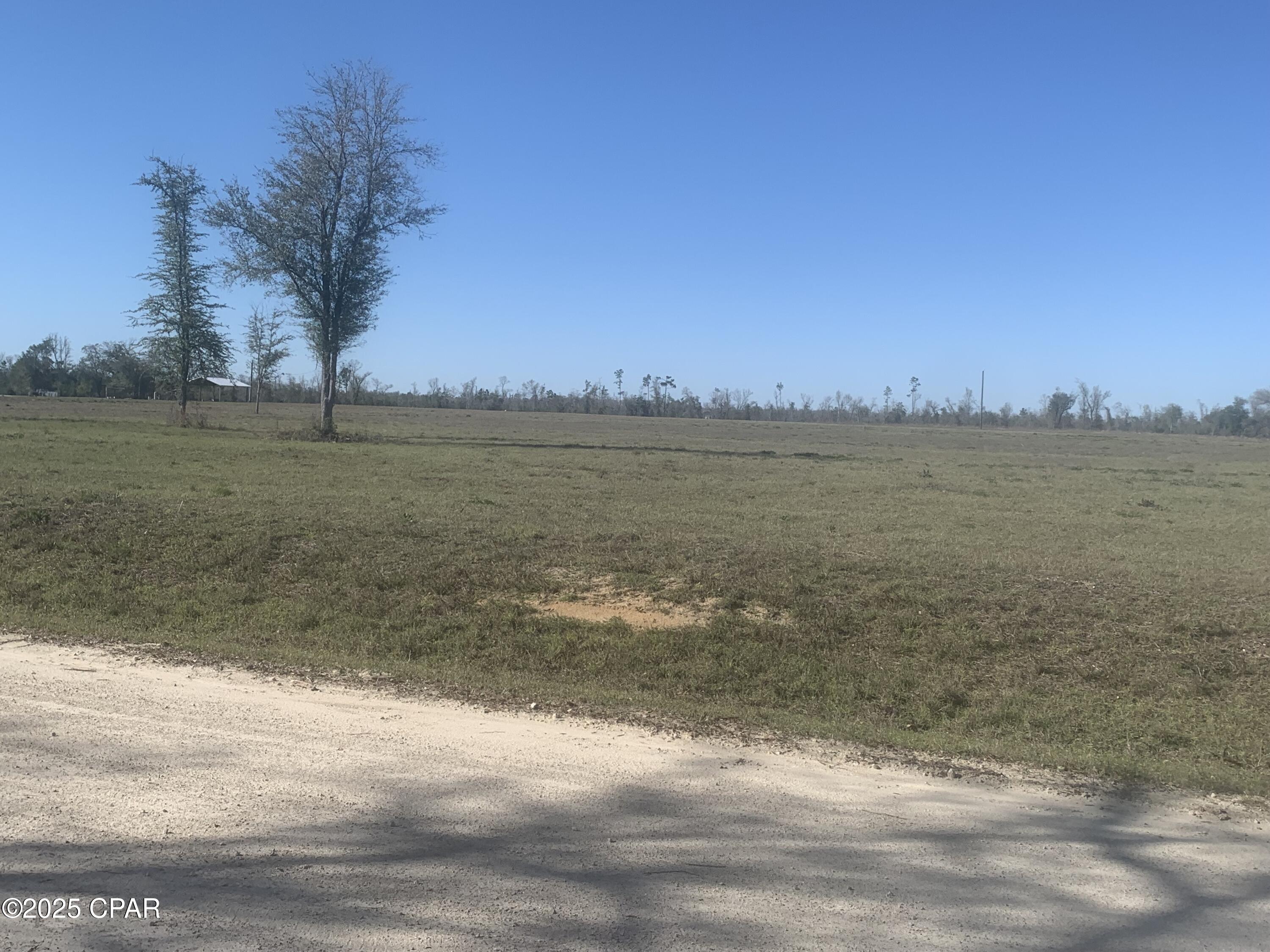 0 Bailey Cemetery Road Clarksville, FL 32430 - Photo 3 of 3