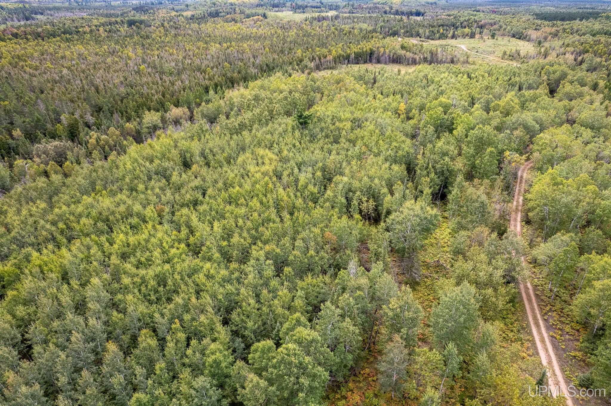 Tbd Off River Rd South 40 Road Perronville, MI 49873 - Photo 1 of 11 Gallery Image 1