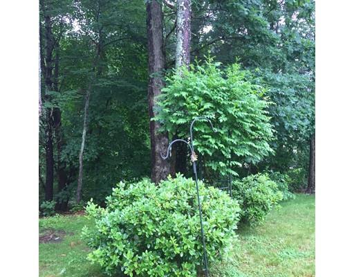 75 Ridge Road Raynham, MA 02767 - Photo 23 of 28 a view of a garden