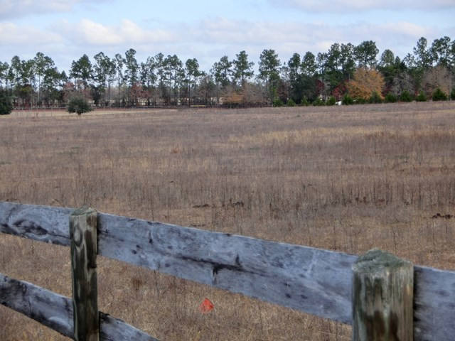 F & G Pickett Post Road Windsor, SC 29856 - Photo 10 of 18