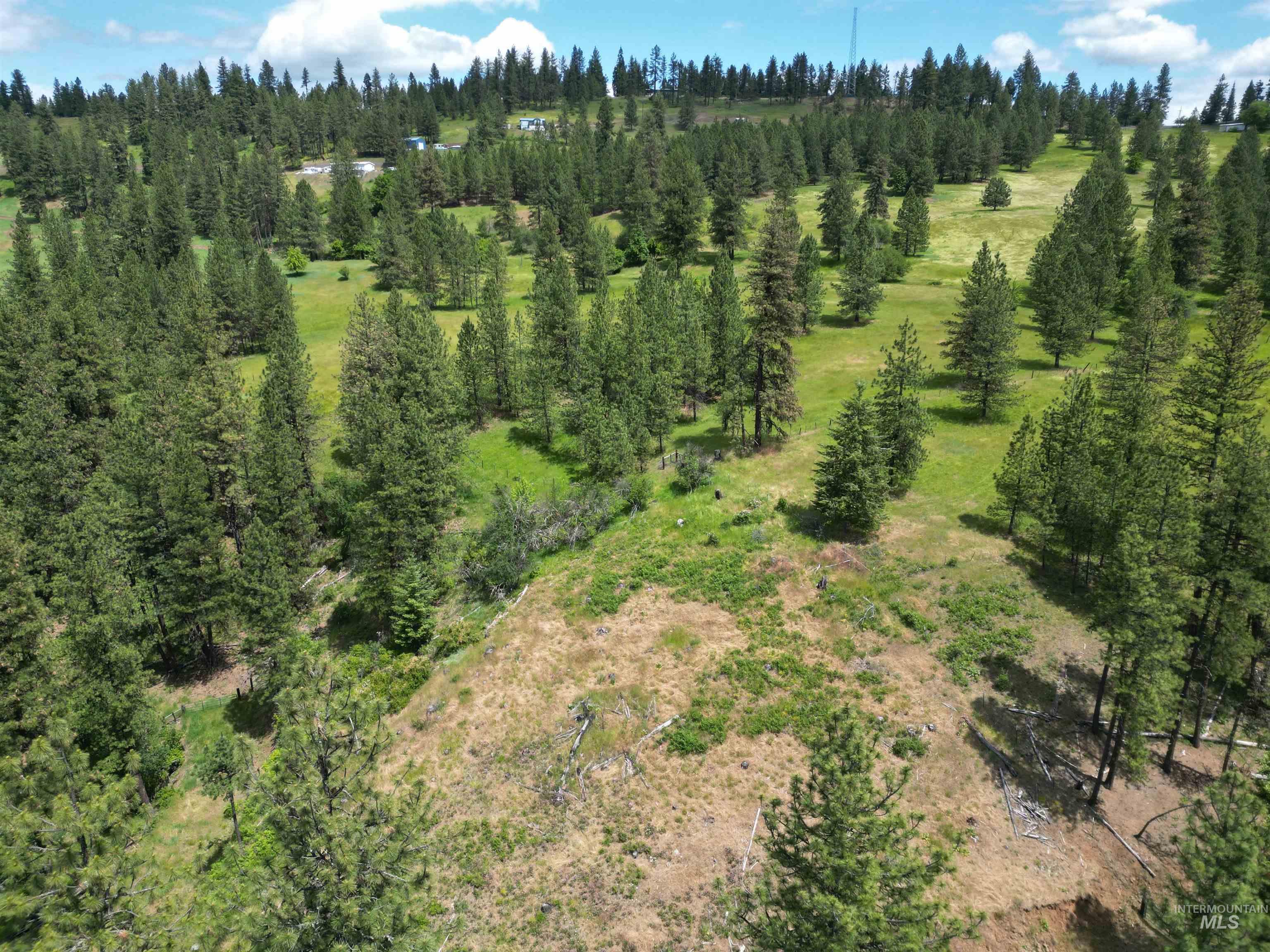 3871 Lakeview Road Orofino, ID 83544 - Photo 42 of 49
