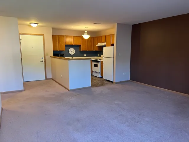 $65,000 | 801 North McLean Boulevard, Unit 226, Elgin, IL 60123