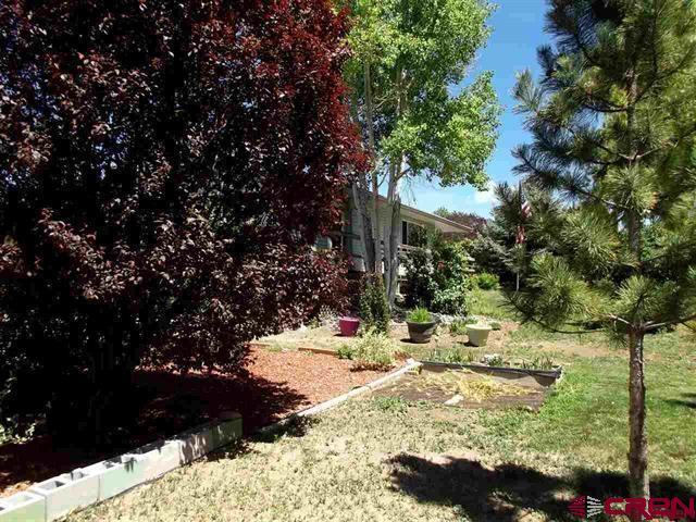 12391 Rockhill Road Eckert, CO 81418 - Photo 6 of 19