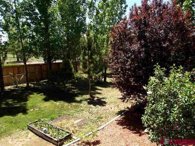12391 Rockhill Road Eckert, CO 81418 - Photo 8 of 19