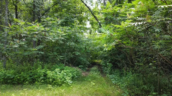 $99,900 | Tbd West 2nd Street, Pillager, MN 56473