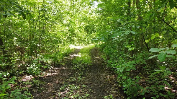 $99,900 | Tbd West 2nd Street, Pillager, MN 56473