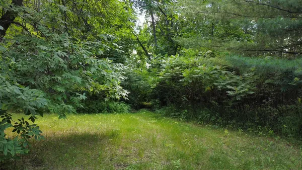 $99,900 | Tbd West 2nd Street, Pillager, MN 56473