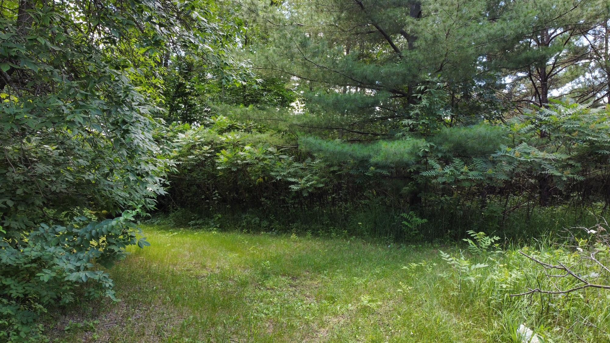 Tbd West 2nd Street Pillager, MN 56473 - Photo 17 of 20