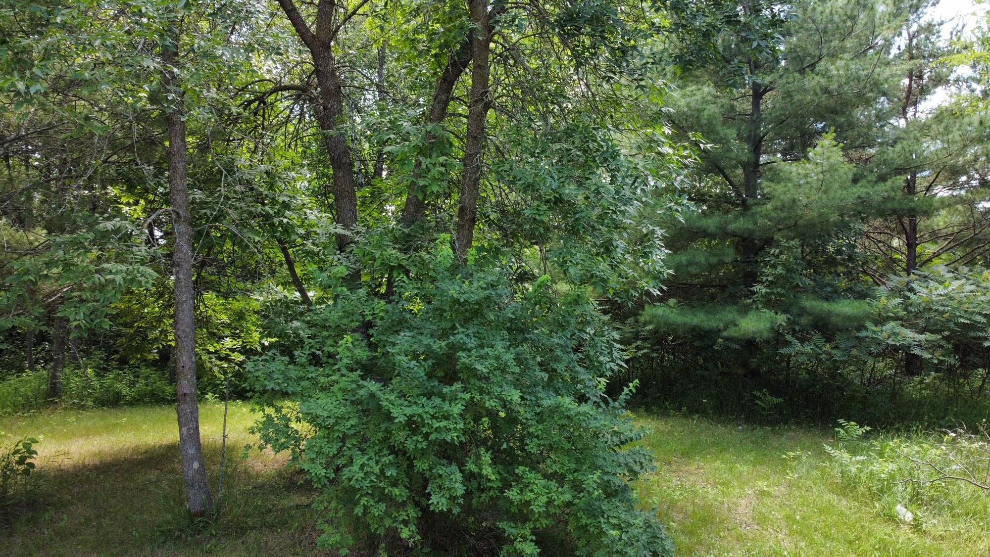 Tbd West 2nd Street Pillager, MN 56473 - Photo 19 of 20