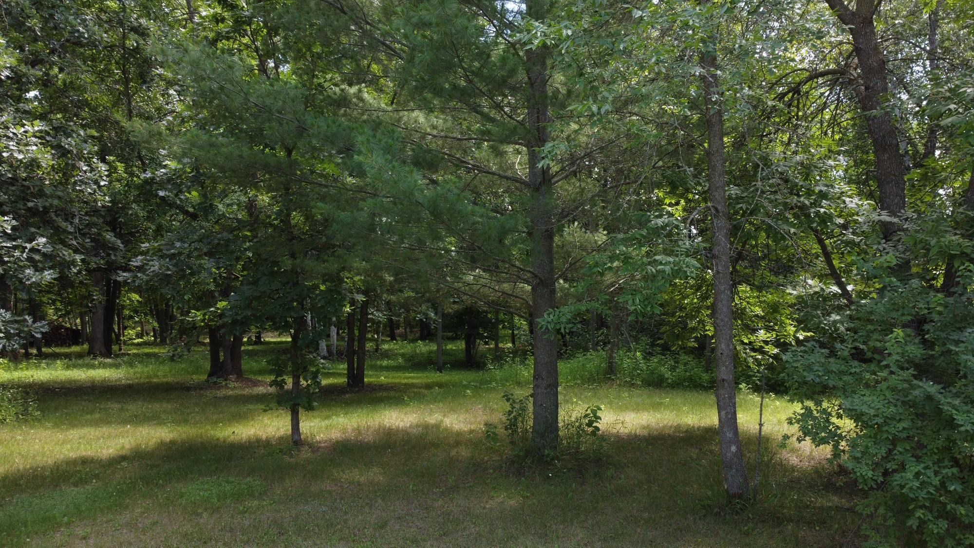 Tbd West 2nd Street Pillager, MN 56473 - Photo 20 of 20