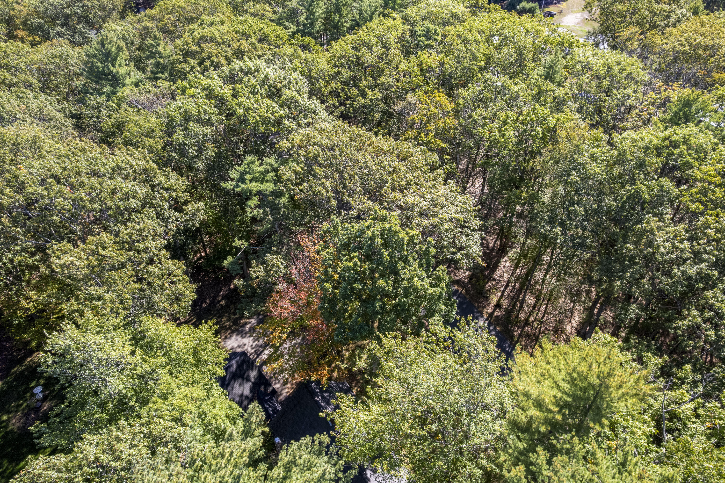 5 Corn Swamp Road York, ME 03909 - Photo 49 of 52 5 Corn Swamp Rd_159