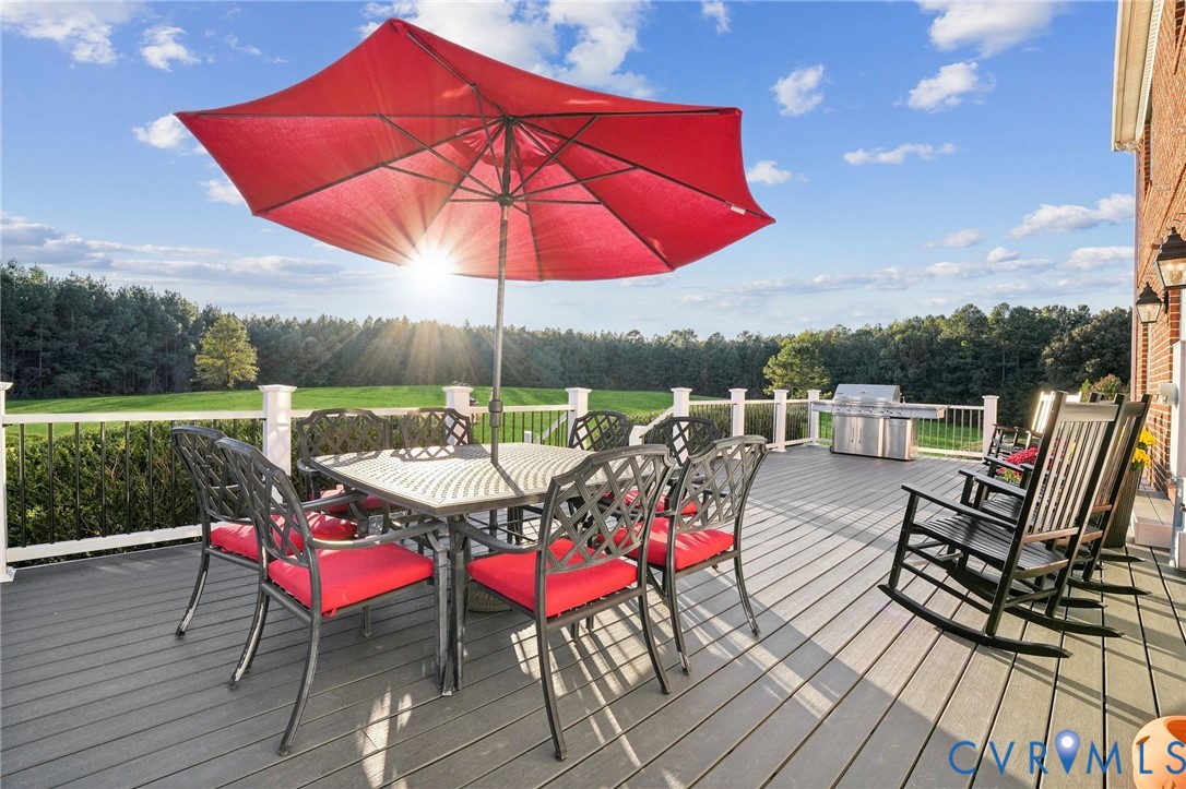 20145 Hunnicut Road Dinwiddie, VA 23841 - Photo 33 of 53