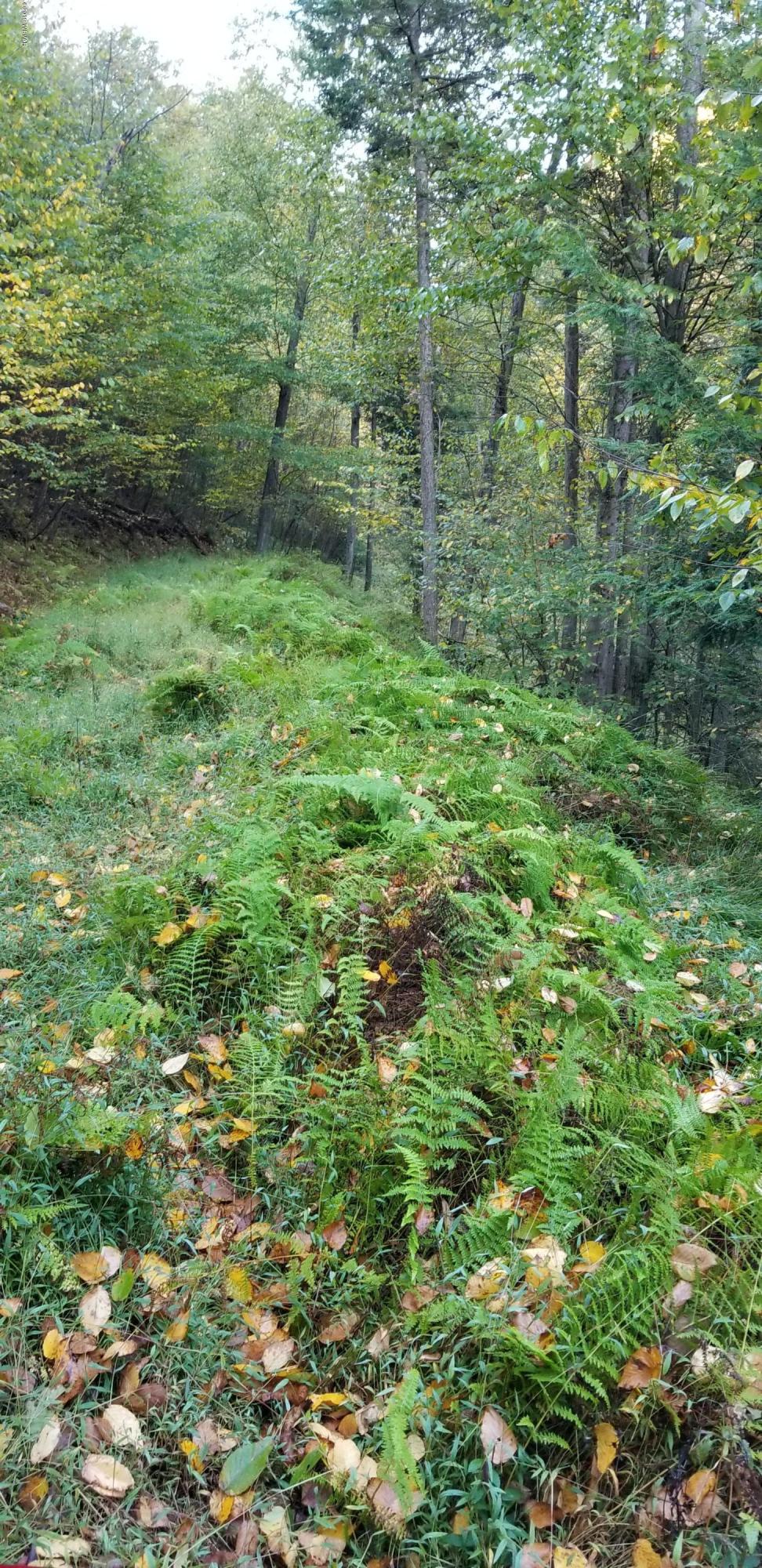 Turkey Bottom Road Road Muncy, PA 17756 - Photo 19 of 21 20191005_090107