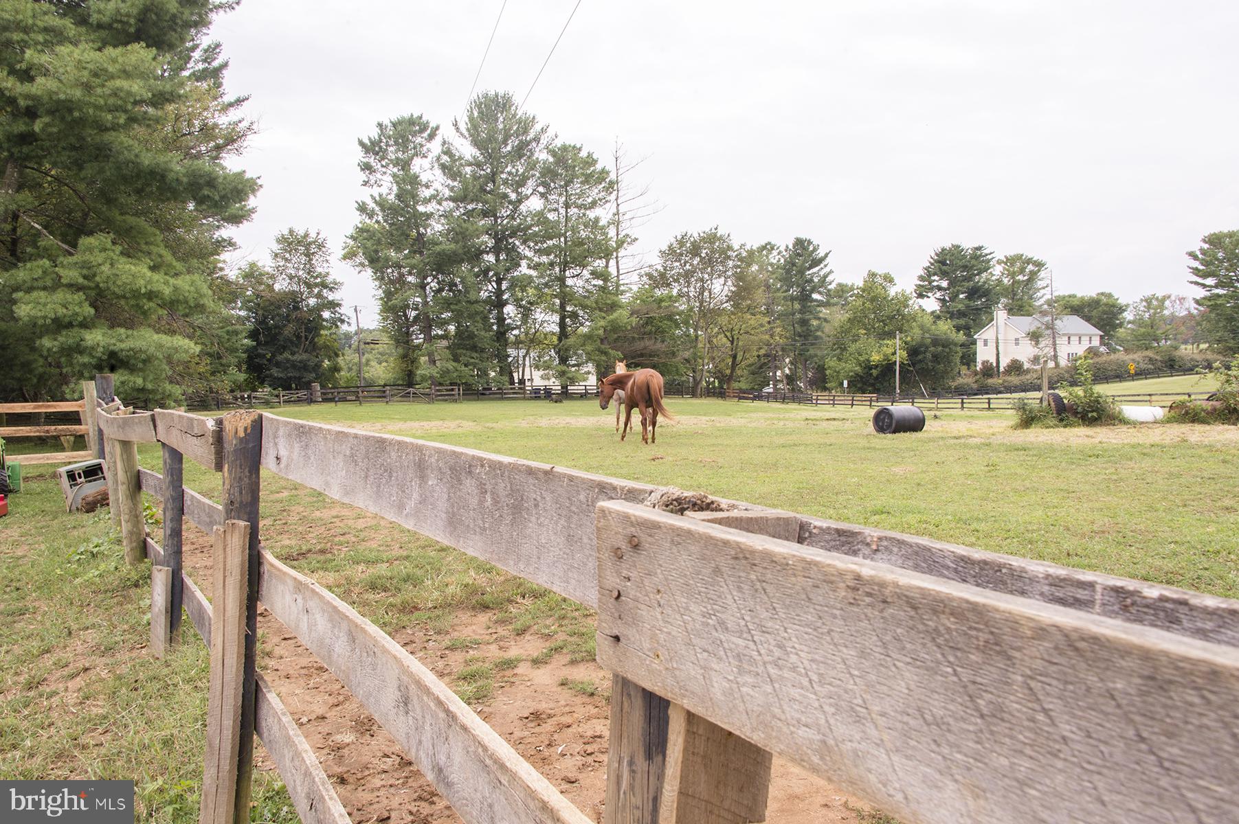18780 Lincoln Road Hamilton, VA 20158 - Photo 22 of 80 Gallery Image 22