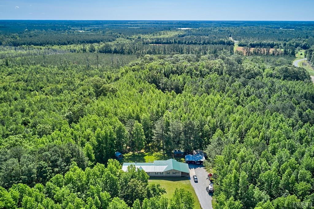 343 Tuggie Eure Road Eure, NC 27935 - Photo 3 of 50 Gallery Image 3