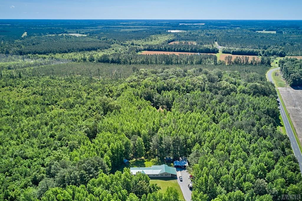343 Tuggie Eure Road Eure, NC 27935 - Photo 4 of 50 Gallery Image 4