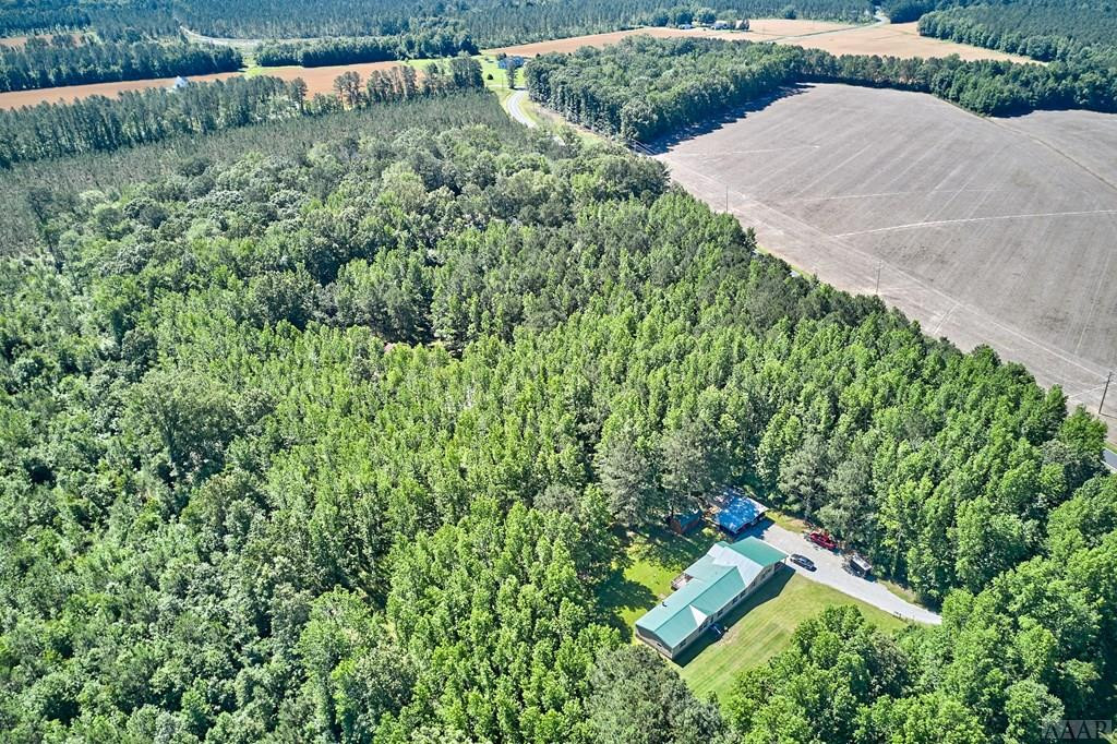343 Tuggie Eure Road Eure, NC 27935 - Photo 6 of 50 Gallery Image 6