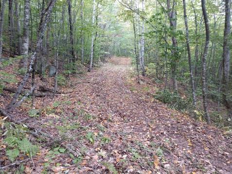 100 South Shore Road Linneus, ME 04730 - Photo 7 of 9 Photo