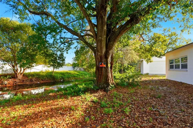 a view of backyard of house with green space