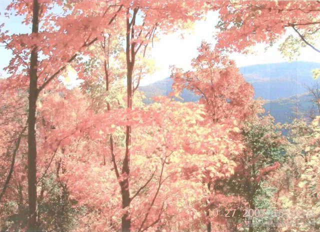 495 Mulberry Mountain Road Boone, NC 28607 - Photo 20 of 36 a backyard of a house
