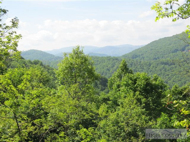 495 Mulberry Mountain Road Boone, NC 28607 - Photo 21 of 36 a view of a green field with lots of bushes