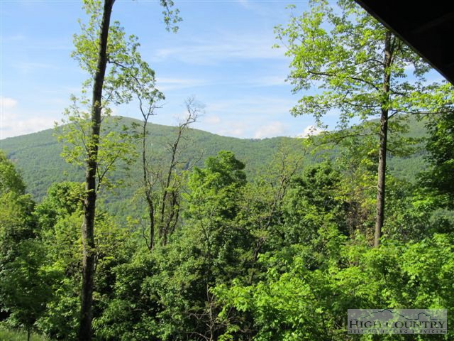 495 Mulberry Mountain Road Boone, NC 28607 - Photo 22 of 36 a view of a garden