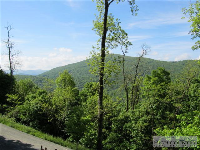 495 Mulberry Mountain Road Boone, NC 28607 - Photo 23 of 36 a view of a garden