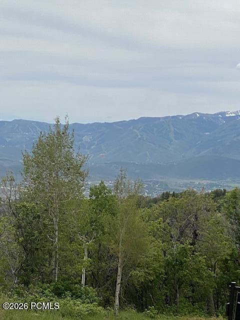 2604 South Forest Meadow Road Coalville, UT 84017 - Photo 3 of 28