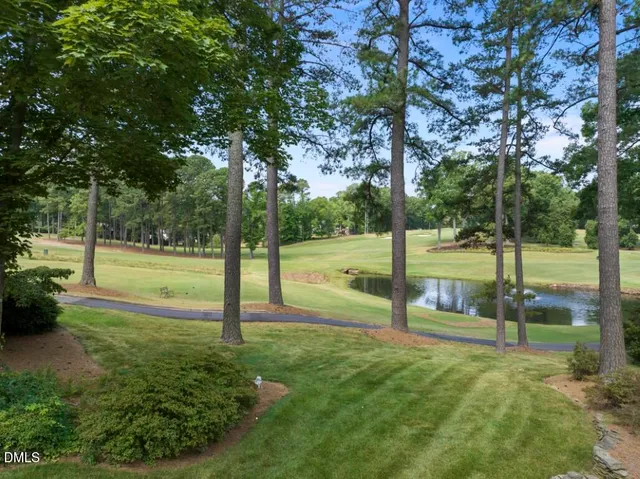 a view of a park with a tree