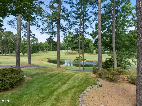 a view of a park with large trees