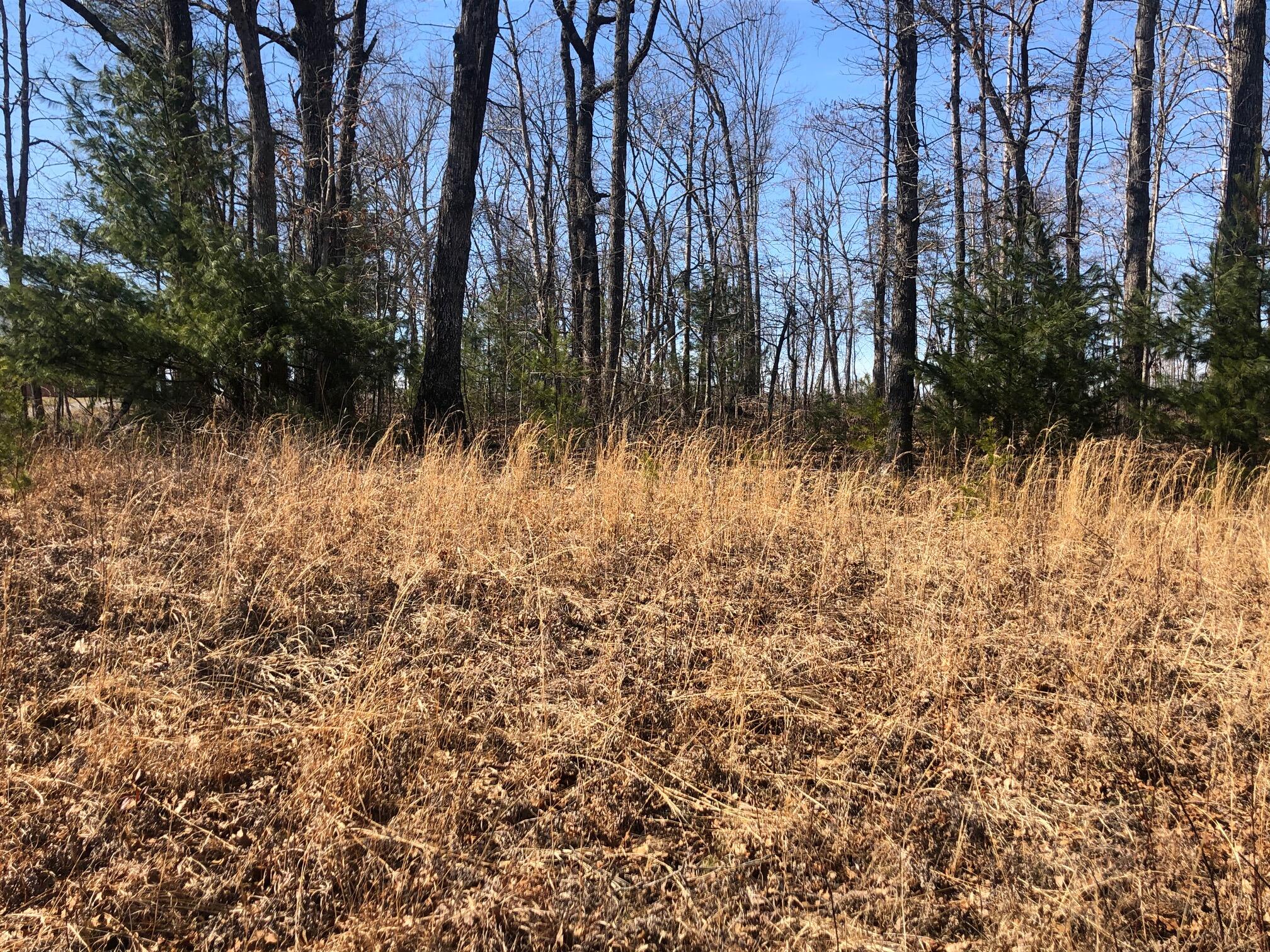9946 Griffith Road Pikeville, TN 37367 - Photo 2 of 23 IMG_5895