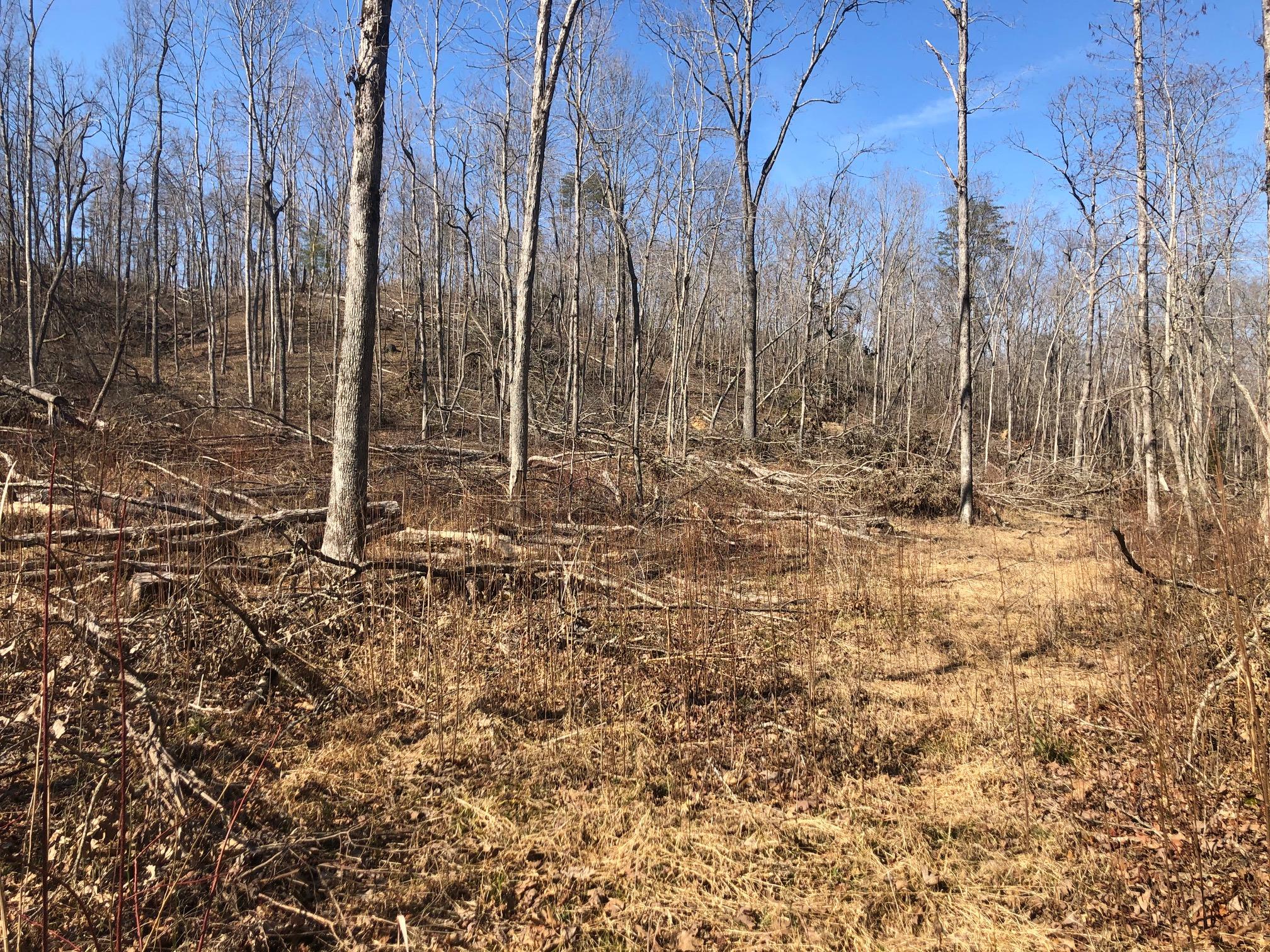 9946 Griffith Road Pikeville, TN 37367 - Photo 21 of 23 IMG_5914