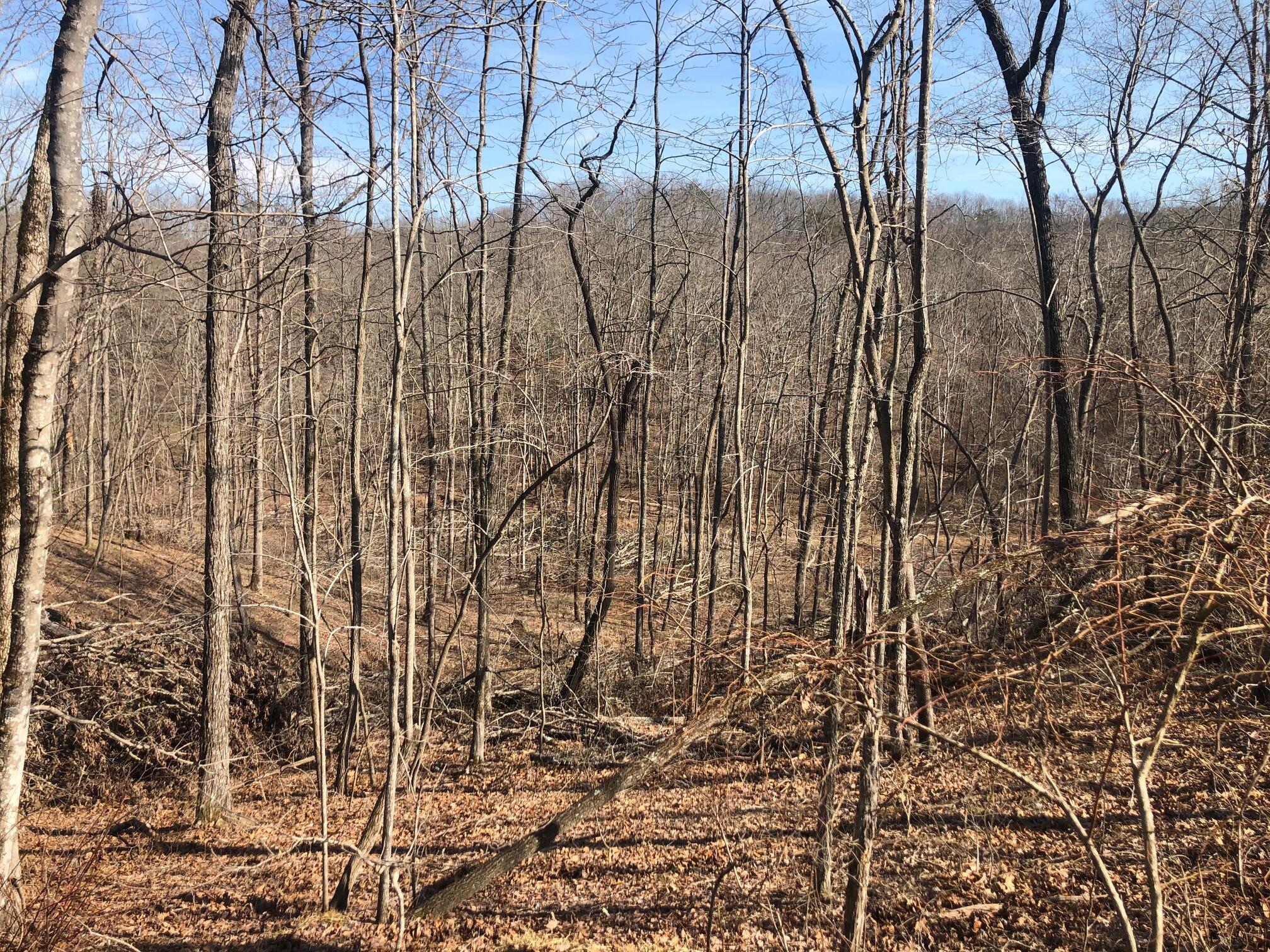 9946 Griffith Road Pikeville, TN 37367 - Photo 5 of 23 IMG_5898