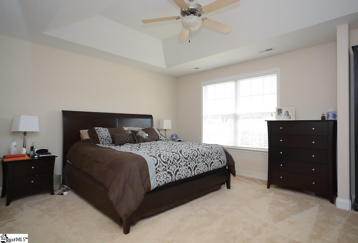 29 Tigris Way Greenville, SC 29607 - Photo 13 of 22 Gallery Image 13