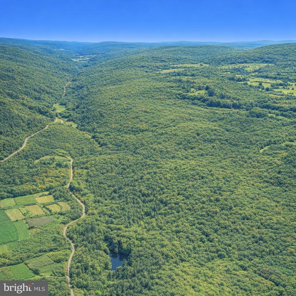 Crooked Creek Road Pleasant Mount, PA 18453 - Photo 4 of 22