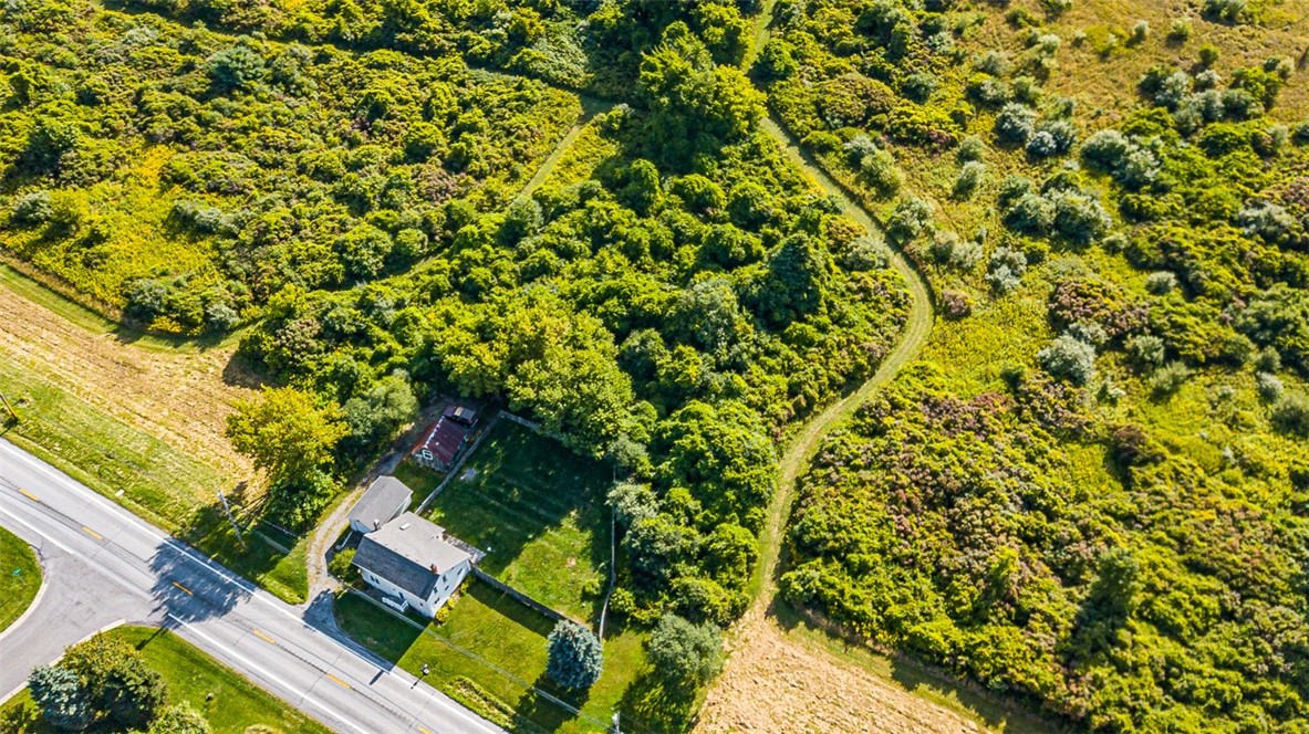 3842 Clover Street Mendon, NY 14467 - Photo 46 of 50