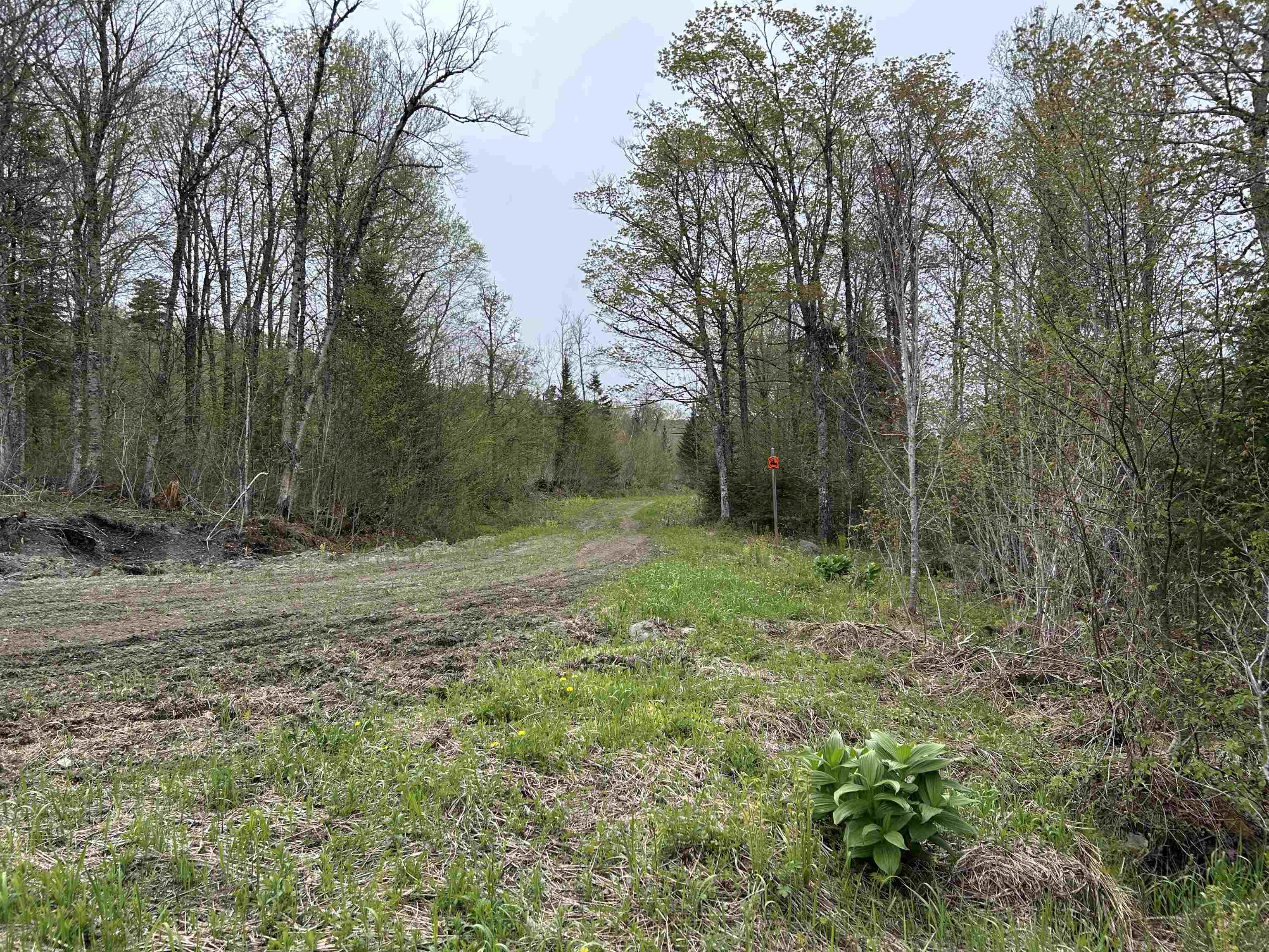 Mapb2-lot16 Dead Water Road Stewartstown, NH 03576 - Photo 3 of 31