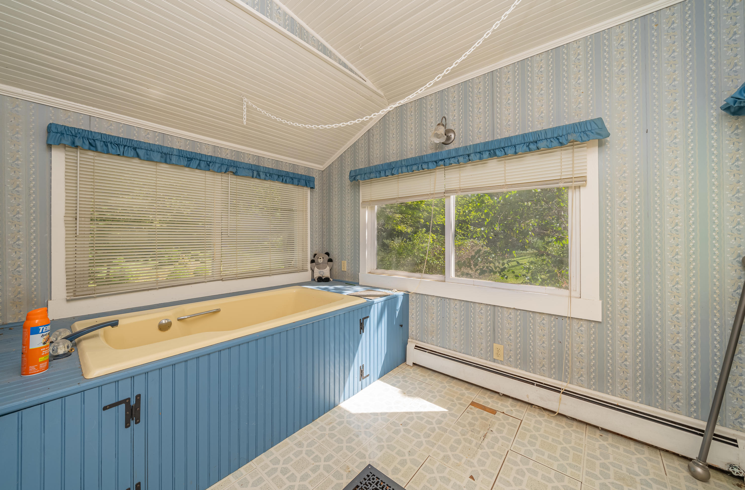 2406 Timber Ridge Buchanan, VA 24066 - Photo 19 of 19 DSC00894-Edit