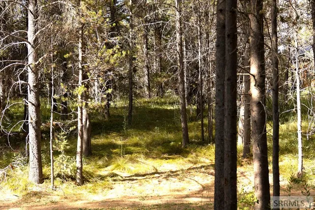 $75,000 | 4007 Cougar Street, Island Park, ID 83429