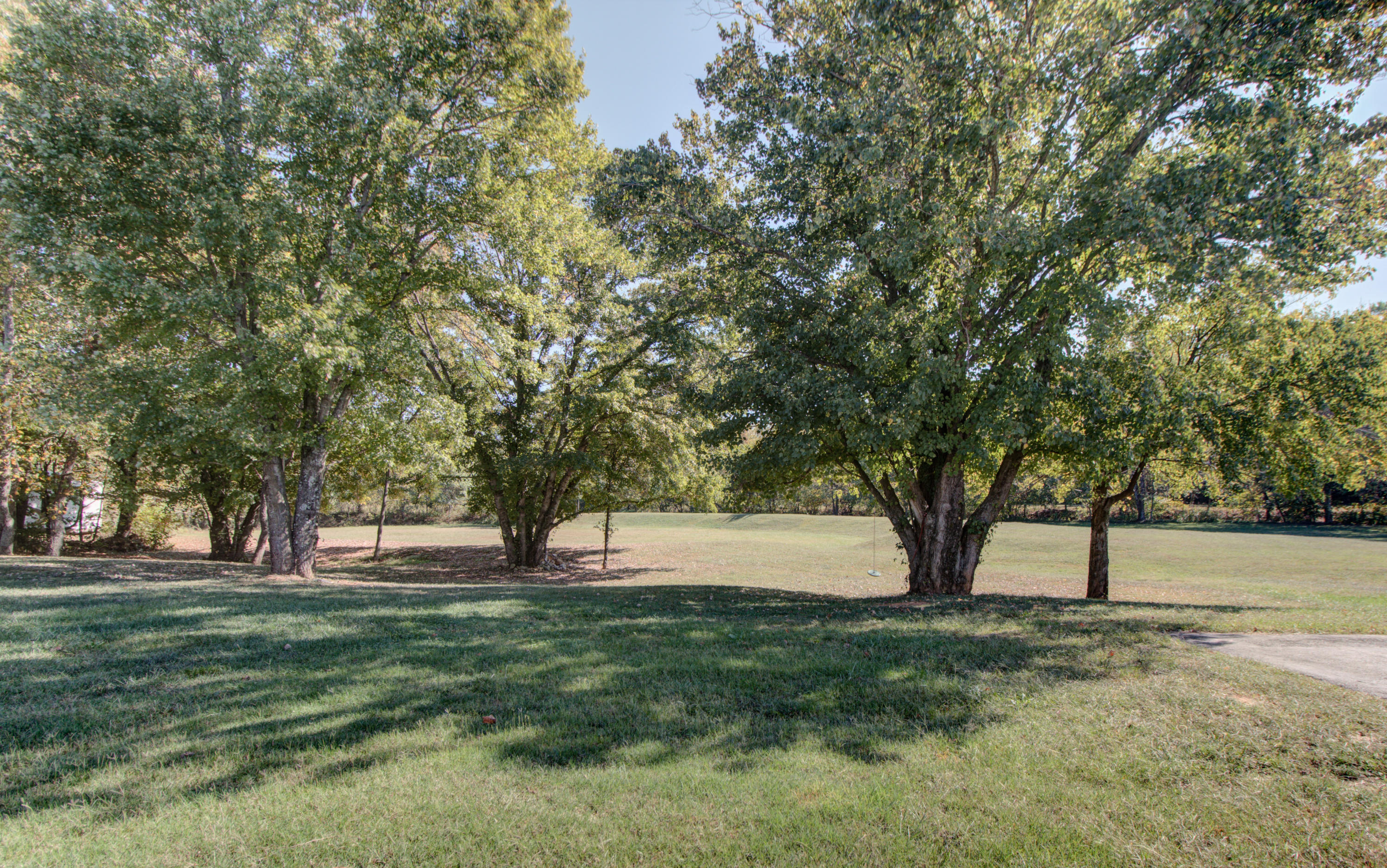 1781 Meadows Road Vinton, VA 24179 - Photo 23 of 26 a view of yard with trees